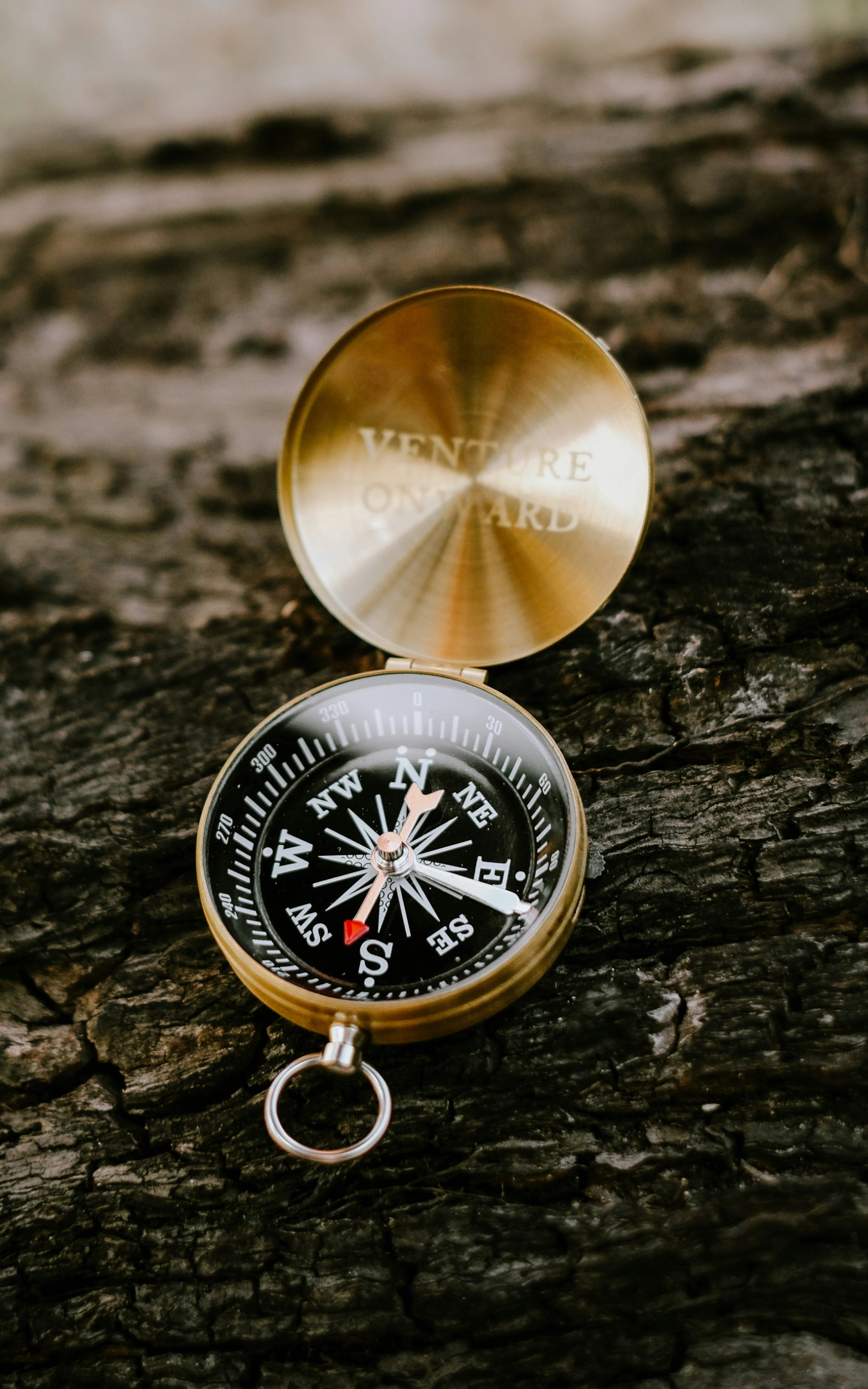 compass-on-log-1